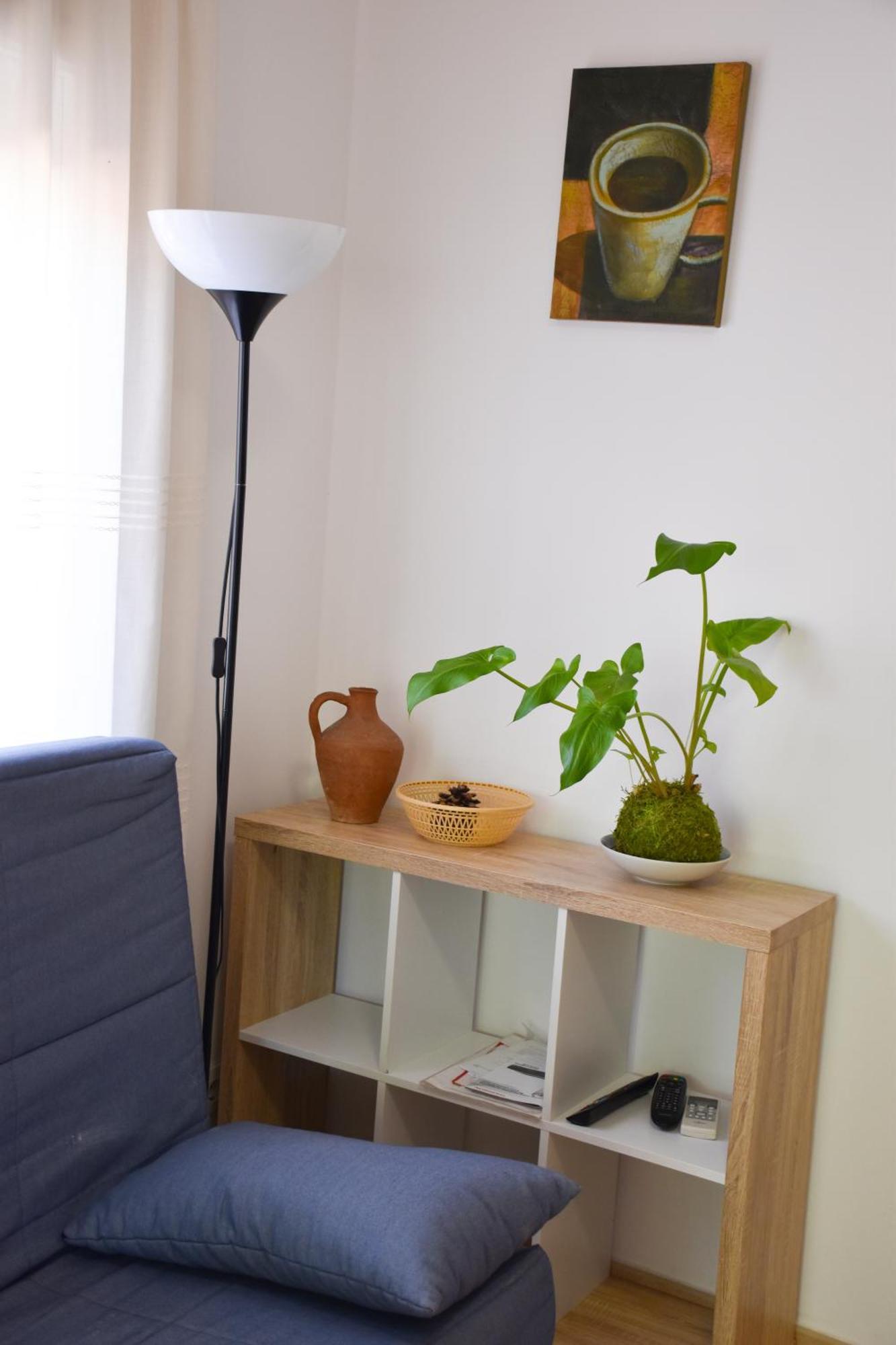 Apartamentos Les Palmeres Platja d'Aro Ngoại thất bức ảnh